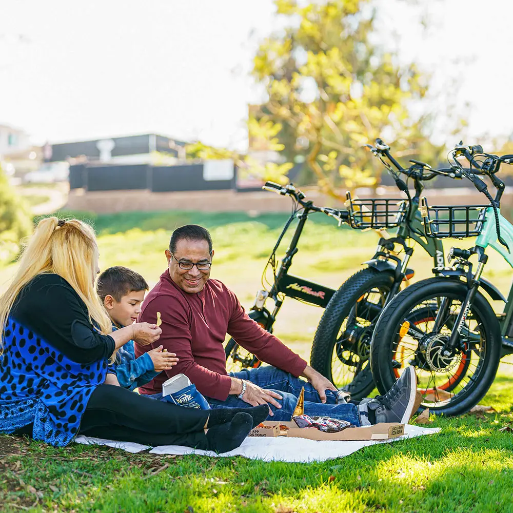 5 Adult Tricycles with Baskets You'll Love